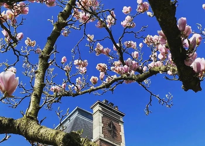 La Barbieux Couette-café Roubaix
